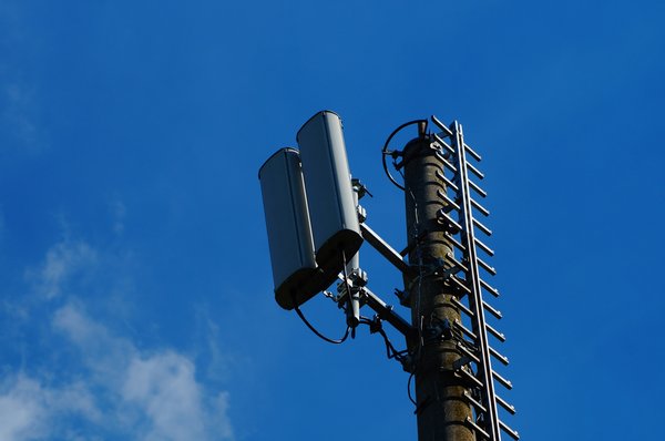 Quels sont les enjeux de la digitalisation pour les petites librairies et comment y répondre ?